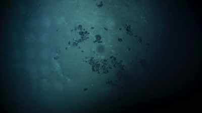 Down here, in these deep ravines, - Blue Planet II