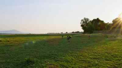 Down here on the floodplain... - Predators