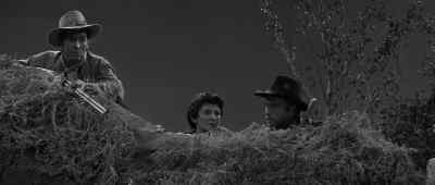 Down.
Keep in cover. - Ambush at Cimarron Pass