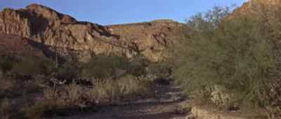 Down there. - Arizona Raiders
