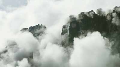 Downpours are so torrential
that no soil can accumulate - The Green Planet