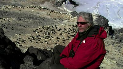Dr Ainley is there such thing as insanity among penguins - Encounters at the End of the World