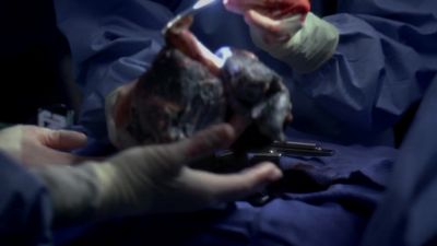 Dr. Avery. - Grey's Anatomy