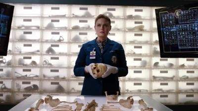 Dr. B?
Hello? - Bones