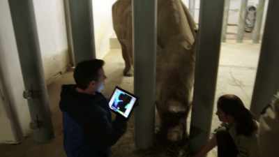 DR. DAN: What I'm doing with Dugan
right now is using - Magic of Disney's Animal Kingdom