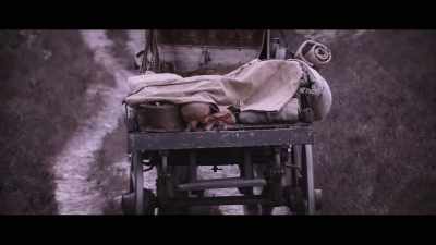 DR. DICKSON: Decomposition
begins almost immediately, - Landscapers