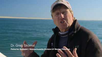 DR. GREG SKOMAL
VISSERIJBIOLOOG - Return of the White Shark