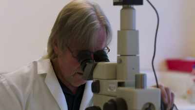 Dr Harry Evans has had
over 40 years of experience - This Giant Beast That is the Global Economy