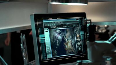 Dr. Hodgins? - Bones