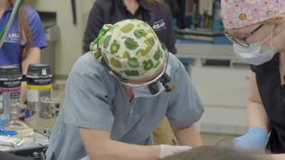 Dr. Jamie: I would like to do
another five minutes - Secrets of the Zoo