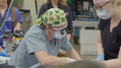Dr. Jamie: Well, it's mobile,
it's just not out. - Secrets of the Zoo