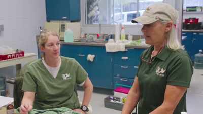 Dr. Jan: It was a good thing
zack saw him. - Secrets of the Zoo