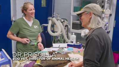 Dr. Jan: Oh. (laughs) - Secrets of the Zoo