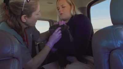 Dr. Jan: So, the most important
thing is to make sure - Secrets of the Zoo