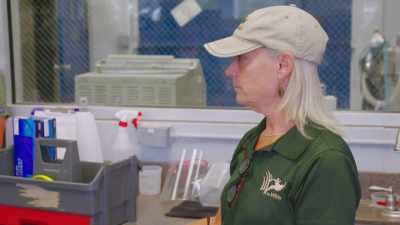 Dr. Jan: Today we're gonna
attempt to do a neonatal exam - Secrets of the Zoo