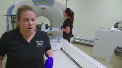 Dr. Katie:
Alright, everybody who doesn't
wanna get irradiated, - Secrets of the Zoo