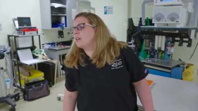 Dr. Katie: Can you grab me
my drug box - Secrets of the Zoo