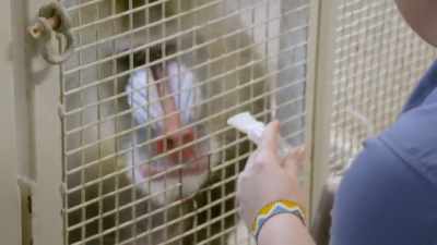 Dr. Katie: He's like, "I know." - Secrets of the Zoo