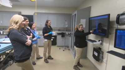 Dr. Katie: Like, so this is what
it should normally look like, - Secrets of the Zoo