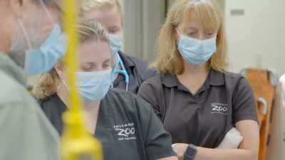 Dr. Katie:
She seems pretty deep, - Secrets of the Zoo