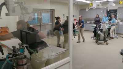 Dr. Katie: So we're gonna
go ahead and check - Secrets of the Zoo