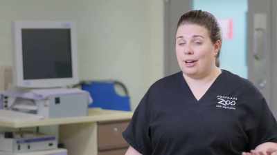Dr. Katie: Today we're
gonna take a look - Secrets of the Zoo