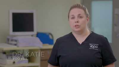 Dr. Katie:
Today we're taking keiko, - Secrets of the Zoo