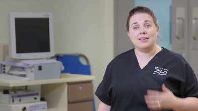 Dr. Katie:
We are all so ecstatic - Secrets of the Zoo