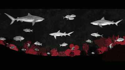 [Dr. Leonardo] If we
take out the sharks, - Envoy: Shark Cull