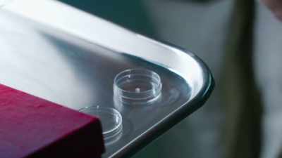 dr-lindsey-okay-so-thats-sperm - Secrets of the Zoo