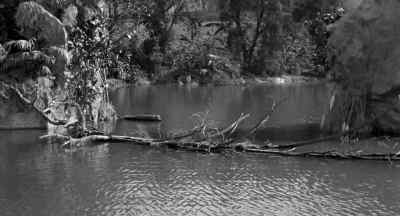 DR. MAIA Look Out! - Creature from the Black Lagoon