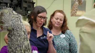 DR. NATALIE:
The challenge is that we have a porcupine. - Magic of Disney's Animal Kingdom