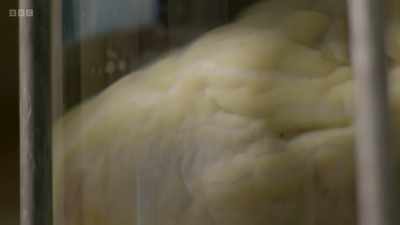 Dr Ott is left with a protein shell. - The Human Body: Secrets of Your Life Revealed