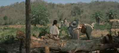 Dr. Pratt.
- Hello, father. - Seven Cities of Gold