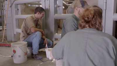 Dr. Priscilla: Yeah, it looks
like he's moving his head, - Secrets of the Zoo