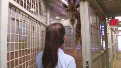 Dr. Priya: Before he came to us - Secrets of the Zoo