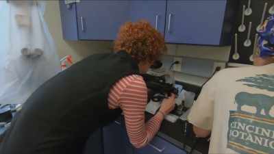 Dr. Priya: Dr. Lindsey
examines each sperm sample - Secrets of the Zoo