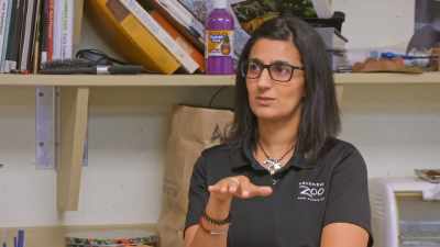 Dr. Priya: I think it will
resolve without treatment, - Secrets of the Zoo