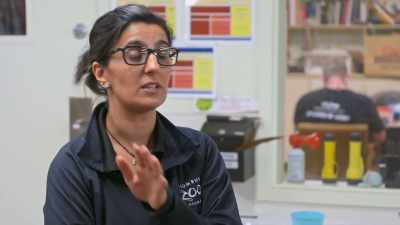 Dr. Priya: Let her go, just
having a week, no handling, - Secrets of the Zoo