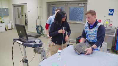 Dr. Priya:
On a more important note, - Secrets of the Zoo