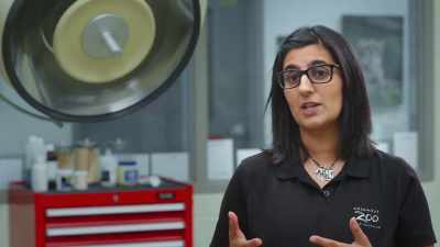 Dr. Priya: Over the last week, - Secrets of the Zoo