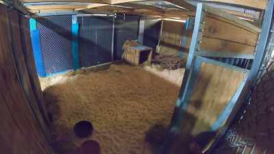 Dr. Priya:
She's over, she's over. - Secrets of the Zoo