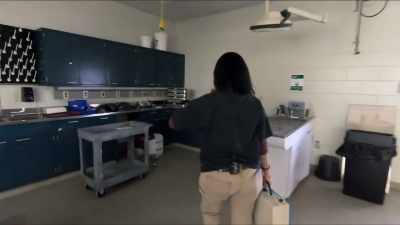 Dr. Priya: So, we are
about to inject paval - Secrets of the Zoo