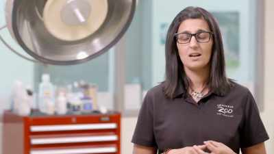 Dr. Priya: The minute she takes
that first breath is, - Secrets of the Zoo