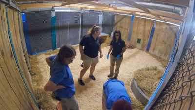 Dr. Priya: The worst-case
scenario is that - Secrets of the Zoo