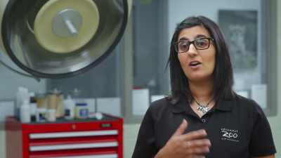 Dr. Priya: We're having a hard
time getting a good semen sample - Secrets of the Zoo