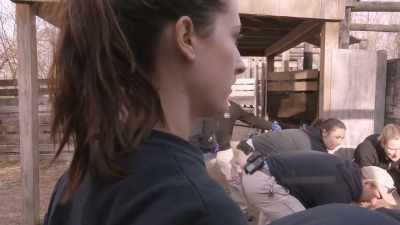 Dr. Randy: Yeah, we need to roll
her on her other side, - Secrets of the Zoo