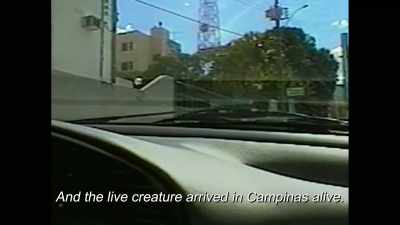 DR. ROGER LEIR: Both creatures
left at the same time. - Moment of Contact
