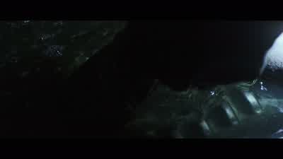 Dr. Shaw. How did she end up here? - Alien: Covenant