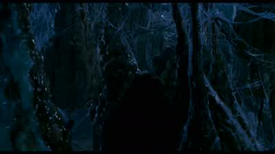 Dracula and his brides only kill one or two people a month. - Van Helsing